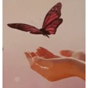 Angel Therapies Doncaster, opening hours