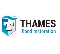 Thames Flood Restoration, London opening hours
