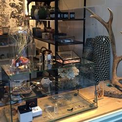 Rose & Thorne, London opening hours