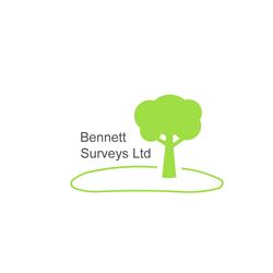 Bennett Surveys Ltd, Truro opening hours