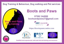 Boots & Paws dog training and behaviour, and Crazyk9 assistance dog training, Oldcotes opening hours
