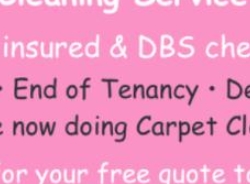 Pink Ladies Cleaning Services, Clowne opening hours