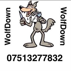WolfDown Café, Doncaster opening hours