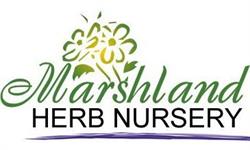 Marshland Herb Nursery, Wisbech opening hours