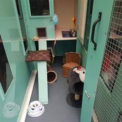 Top Cats Cattery, Hemingfield opening hours