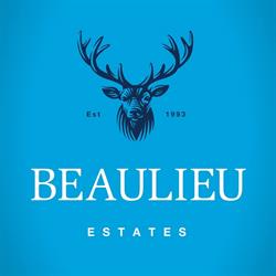 Beaulieu Estate Agents, Chelmsford opening hours