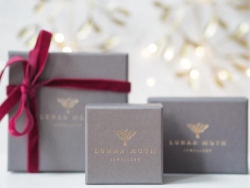 Lunar Moth Jewellery, Nottingham opening hours