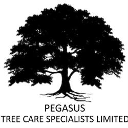 Pegasus Tree Care Specialists Ltd in Carlton (Carlton) - Opening Hours