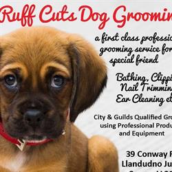Ruff Cuts Dog Grooming, Conwy opening hours