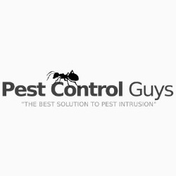 Pest Control Guys in Hailsham (East Sussex) - Opening Hours