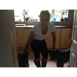 Pant-A-Lot Dog Walking & Pet Sitting, Wimborne opening hours