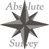 Absolute Survey Ltd, Reigate opening hours