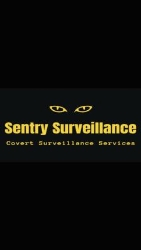 Sentry Surveillance, Irthlingborough opening hours
