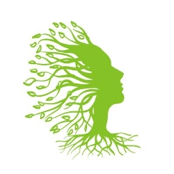 Branchlines Tree Services in Wetherby (Leeds) - Opening Hours