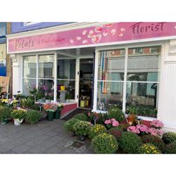 Petals of Pembrokeshire, Pembroke Dock opening hours