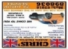 Chris's Mobile Auto Electrics, Huthwaite opening hours