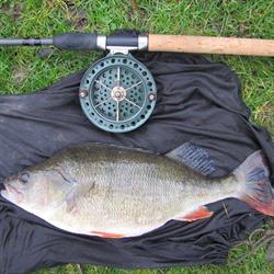 avenue angling suffolk, Ellough opening hours