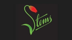 Stems of Holborn, London opening hours