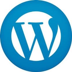 Use-WordPress, Portishead opening hours