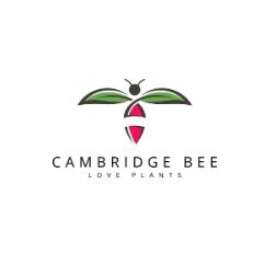 Cambridge Bee, opening hours