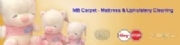 MB Carpet and Upholstery Cleaning, Paignton opening hours