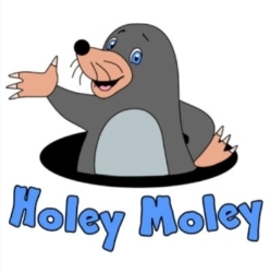 Holey Moley (Lincs) in Thorne (Doncaster) - Opening Hours