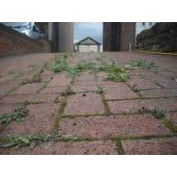 Driveway Cleaning Solutions, Newcastle opening hours