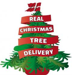 REAL CHRISTMAS TREE DELIVERY, Oakham opening hours