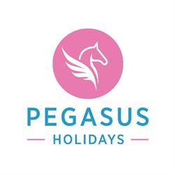 Pegasus Holidays Ltd, Chorley opening hours