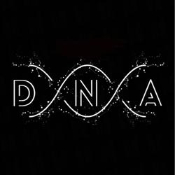 Dna Plastering, Leigh opening hours