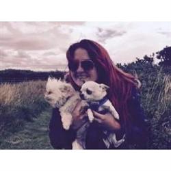 JoJo Dogs (Daisy Chain Pets), Wirral opening hours