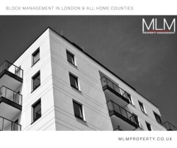 MLM Property Management, Hatfield opening hours