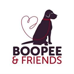Boopee and Friends, Melksham opening hours