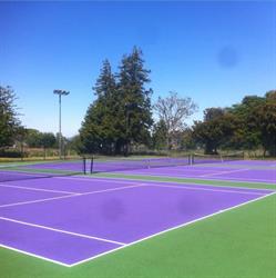 TAIN TENNIS CLUB, Tain opening hours
