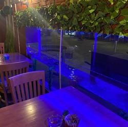 Papagayo Cafe, London opening hours