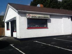 Monica's Dog Grooming, Omagh opening hours