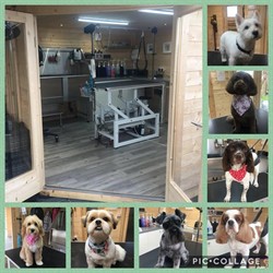 Clare's Canine Cutz, Barrow-in-Furness opening hours