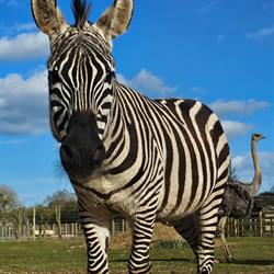 Bridlington Animal Park, Carnaby opening hours