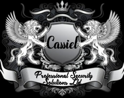 Cassiel Professional Security Solutions Ltd, Great Yarmouth opening hours