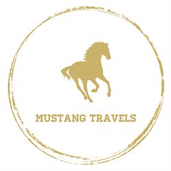 Mustang Travels, Hemel Hempstead opening hours