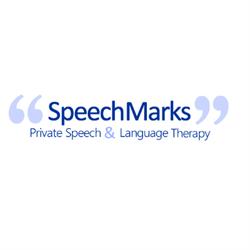 Speechmarks Independent Speech & Language Therapy, Abergavenny opening hours