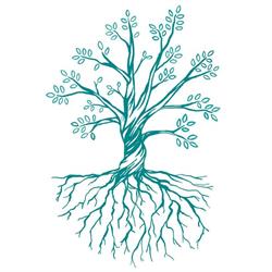 WILD Wellbeing, Llanellen opening hours