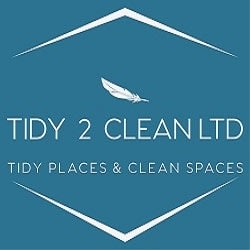 Tidy 2 Clean Ltd, London opening hours