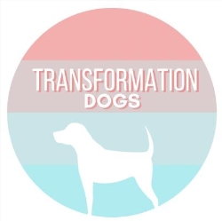 Transformation Dogs in Chester Le Street (County Durham) - Opening Hours