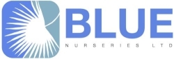 BLUE NURSERIES LIMITED in Trowbridge (Wiltshire) - Opening Hours