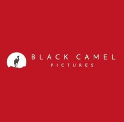The Black Camel Picture Company Ltd, Glasgow opening hours