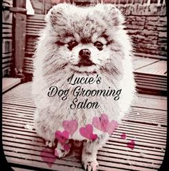 Lucie's Dog Grooming Salon, Rassau opening hours