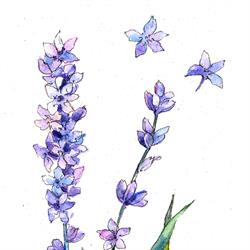 Lavender Rose Florist, Kinmel Bay opening hours