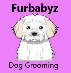 Furbabyz, Astley opening hours