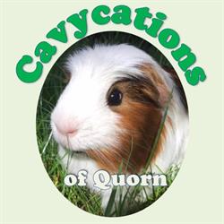 Cavycations of Quorn, opening hours